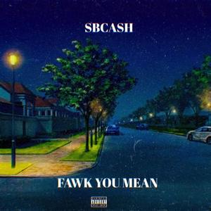 Fawk You Mean (Explicit)