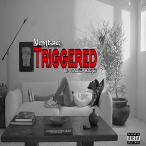 Triggered (feat. Ladarius marquis)