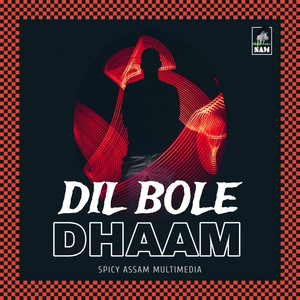 Dil Bole Dhaam