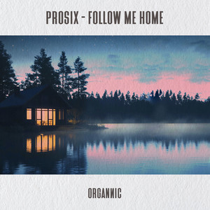 Follow Me Home