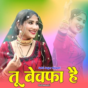 तू बेवफा है ओल्ड मेवाती