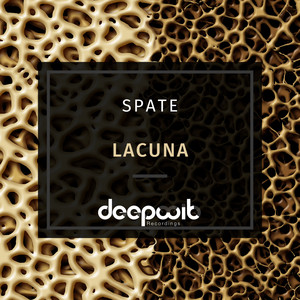 Lacuna (Distortion Inc. Remix)