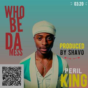 Who Be Da Mess (feat. Shavo)