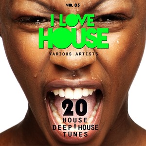 I Love House, Vol. 03 (20 House & Deep-House Tunes)