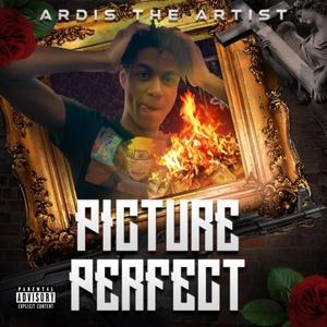 Picture Perfect (Explicit)