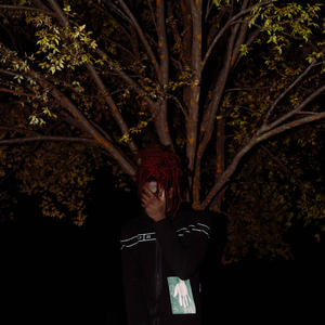 mister (feat. Slimeballchrissy) (Explicit)