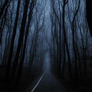 Haunted Road (feat. S.A.V.)