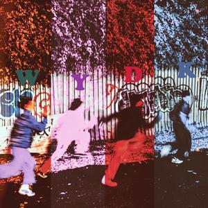 WYDK (feat. antransax) (Explicit)