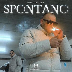 Spontano (feat. MihaMih) [Explicit]