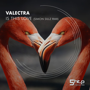 Is This Love (Simon Sillz Remix)