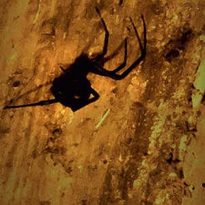 clay hands (feat. spiegelmann) (Explicit)