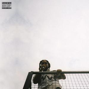 marine (Explicit)