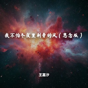 我不怕冬夜里刺骨的风 (思念版)