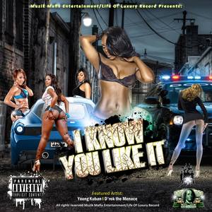 I Know You Like It - Remix (feat. D'Roc The Mencace)