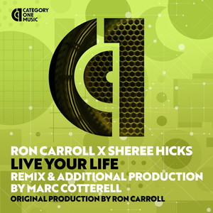 Live Your Life (Marc Cotterell Plastik Factory Vocal Dub Mix)