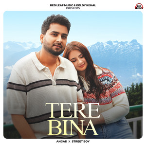 Tere Bina