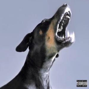 KENNEL (Explicit)