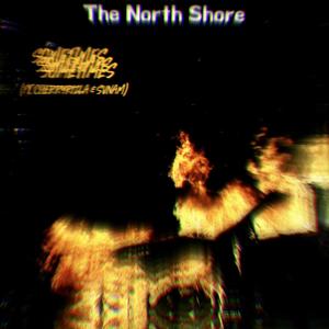 Sometimes (feat. CherryRizla & Svnam) (Explicit)