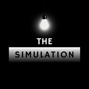 The Simulation (Explicit)