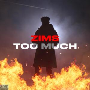 Too Much (Explicit)