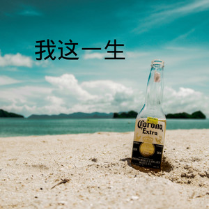 听说你当初找过我 (DJ版)