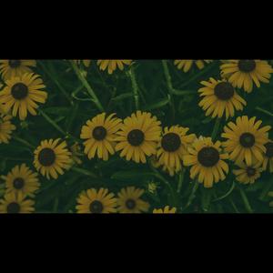 Taken For Granted (Explicit)