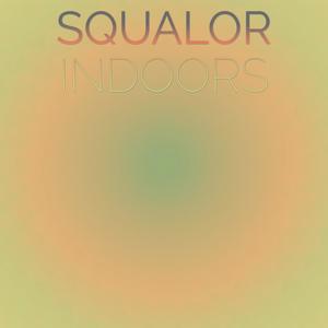 Squalor Indoors