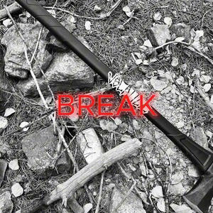 BREAK (Explicit)