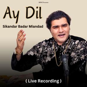 Ay Dil Tu Is Gali Mea