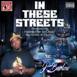IN THESE STREETS (feat. Big Willie, HOMESTEAD SLIM, ETERNAL & JAY CHICAGO) (Radio Edit)