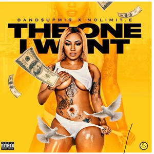 THE ONE I WANT (feat. NolimitE) (Explicit)