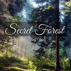 Secret Forest