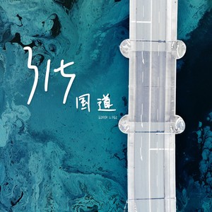 315国道封面