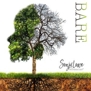 B.A.R.E. (feat. Erica King)