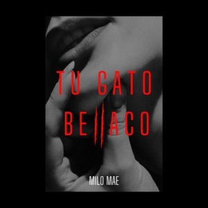 Tu Gato Bellaco (Explicit)
