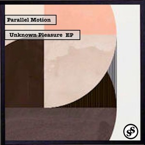 Unknown Pleasure (Original Mix)