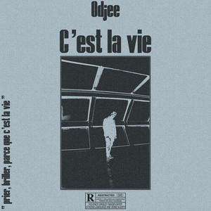 C'est la vie (Explicit)