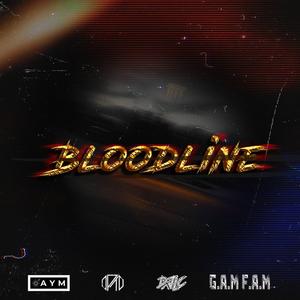 Bloodline (feat. Gamfam)