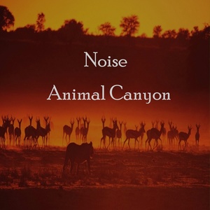 Noise Animal Canyon