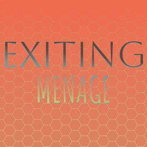 Exiting Menage