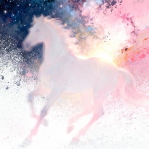 盛夏的果实-ProdbyMend&金亦