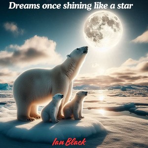 Dreams once shining like a star