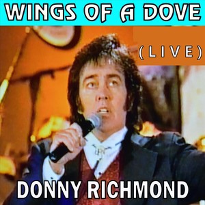 Wings of a Dove (Live)