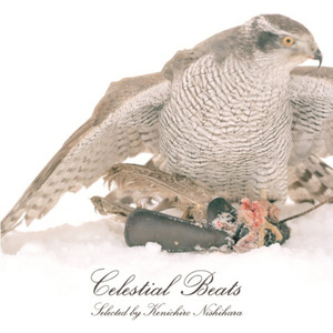 Celestial Beats selected by Kenichiro Nishihara