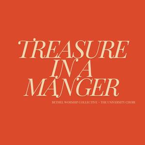 Treasure In A Manger