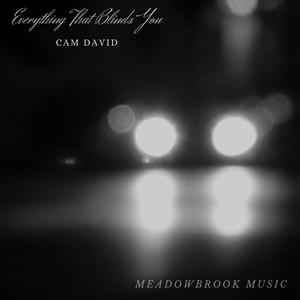 Everything That Blinds You