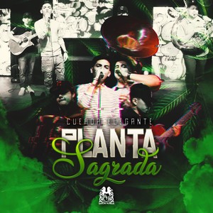 Planta Sagrada