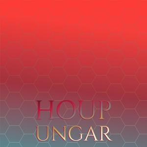 Houp Ungar