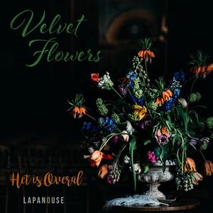 Velvet Flowers (feat. Lisa Imhoff)