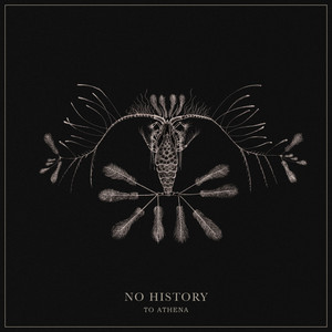 No History